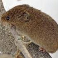 index-10-oqexaio8aglkimd6ilnip5psl5dijopdy32xxu4iq8.jpg